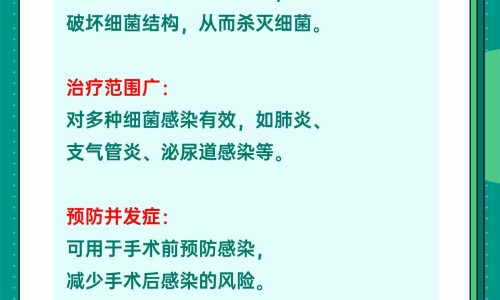 牛蒡子有什么药用网 - 牛蒡子图片药用,牛蒡子的药理作用