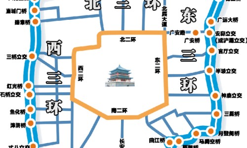 牛蒡子药的功效-牛蒡子有什么药用网 - 牛蒡子图片药用,牛蒡子的药理作用